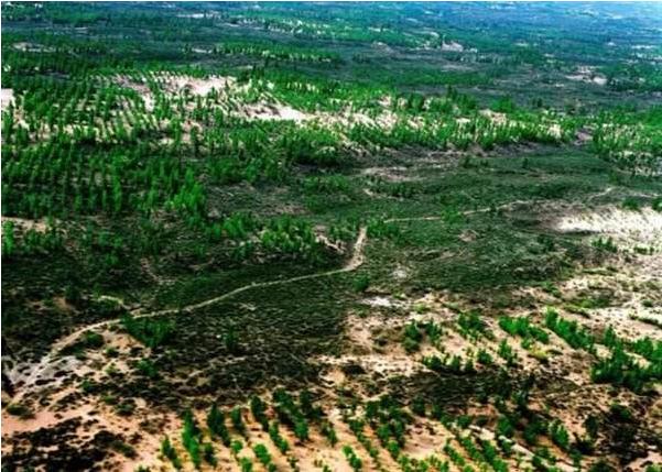 马云最隐秘的投资“蚂蚁森林”，占地近4万亩，价值无可估量