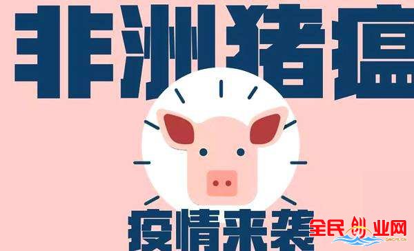中国解析猪瘟病毒