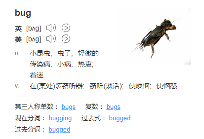 bug的英文意思