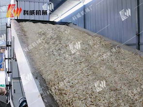 鄭州科威大蒜烘干機自動鋪料 鞏義市科威重工機械制造廠 烘干箱,干燥箱,農副產品烘干機