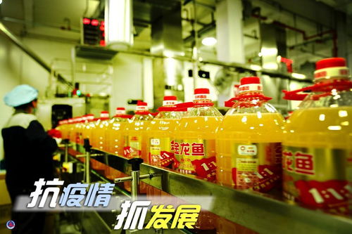 抗疫情 抓發(fā)展